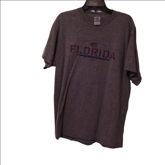 🌺Delta Pro Weight Gray T-Shirt - Picture 4 of 9